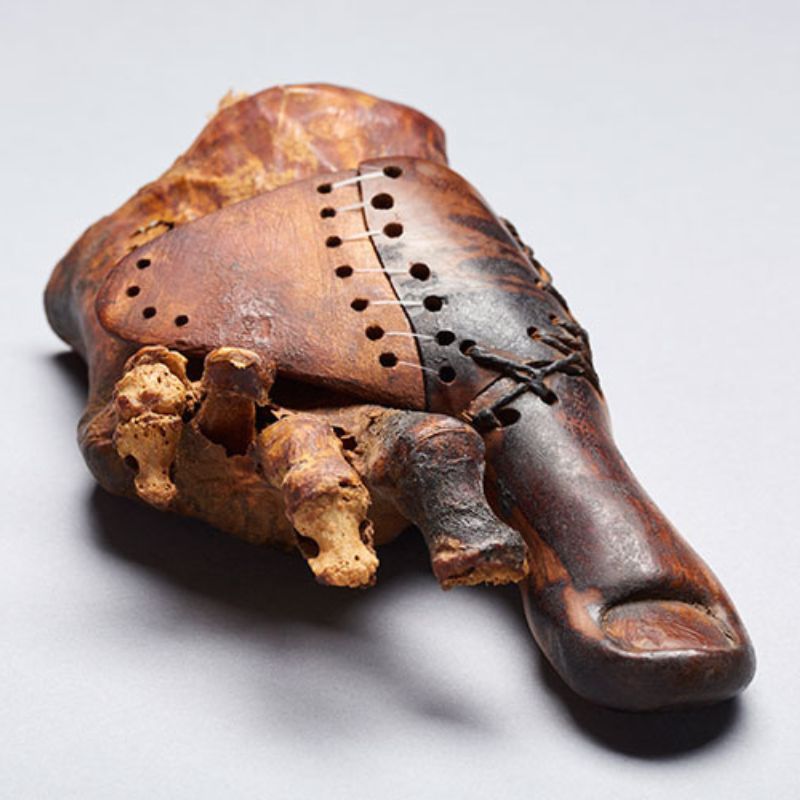 Image of an Ancient Prosthesis - a faux-toe known as the Cairo Toe or the Greville Chester Great Toe by Matjaž Kačičnik. Aesthetic Prosthetics Inc. API